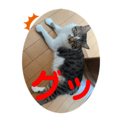[LINEスタンプ] みぃとぅん4