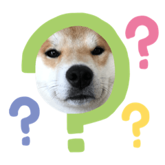 [LINEスタンプ] 柴犬 薄顔ハクno.2