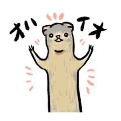 [LINEスタンプ] ごまおフェレット