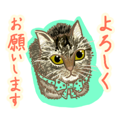 [LINEスタンプ] 水玉リボンの猫