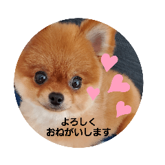 [LINEスタンプ] かわいすぎわんこの日常パート2
