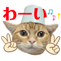 [LINEスタンプ] それゆけみぱぷ！season2