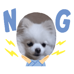 [LINEスタンプ] マロンちゃんはポメラニアン