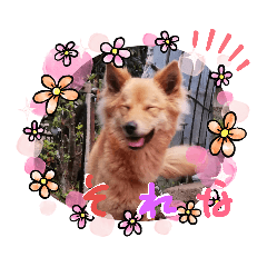 [LINEスタンプ] しずくちゃんスタンプ*No.2