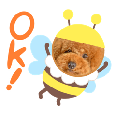 [LINEスタンプ] ぽぽるいす