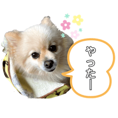 [LINEスタンプ] 我が家の姫✿