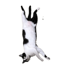 [LINEスタンプ] るるさんた