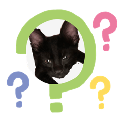 [LINEスタンプ] 黒猫キヨたん