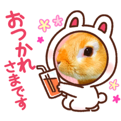 [LINEスタンプ] うさぎ 〜オリジナルスタンプ〜 YUTA