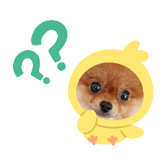[LINEスタンプ] ポメりおちゃんの日常スタンプ3