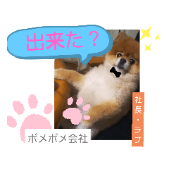[LINEスタンプ] ポメラニアン、ラブの日々4