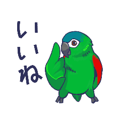 [LINEスタンプ] コミドリコンゴウインコの日常