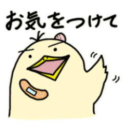 [LINEスタンプ] デイリーぴよ