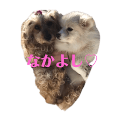 [LINEスタンプ] うちのワンちゃんシリーズ 2（モカとミル）