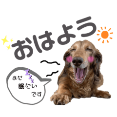 [LINEスタンプ] タスケくん by晩ママ