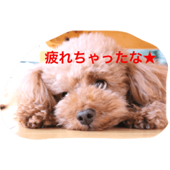 [LINEスタンプ] レックアンドチーズ2