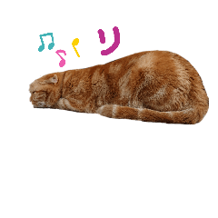[LINEスタンプ] ねこさんかかおその2