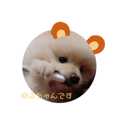 [LINEスタンプ] ♡ねりけちくん♡