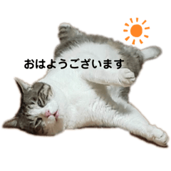 [LINEスタンプ] そらちゃんももちゃん(敬語)