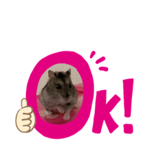 [LINEスタンプ] ちびハムちゃん4