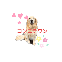 [LINEスタンプ] 横手山ジョーンズ1