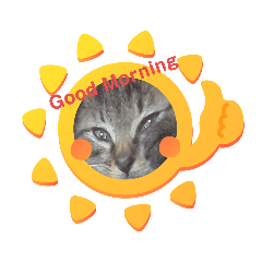 [LINEスタンプ] ボクは猫