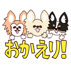 [LINEスタンプ] チワワ3兄妹のんびり毎日スタンプ