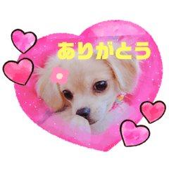 [LINEスタンプ] みーなちゃん