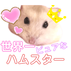 [LINEスタンプ] プティングハムのたいぞー
