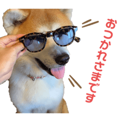 [LINEスタンプ] すえきち