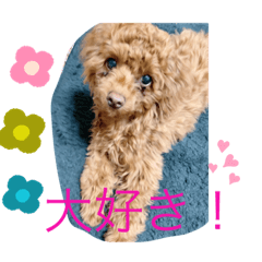 [LINEスタンプ] ワンの1日