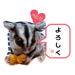 [LINEスタンプ] フクロモモンガほっぺちゃん2