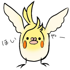 [LINEスタンプ] オカメインコの日常 by森本