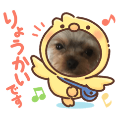 [LINEスタンプ] 可愛い❤️ワンちゃん21