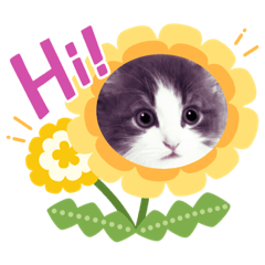 [LINEスタンプ] アランくん③