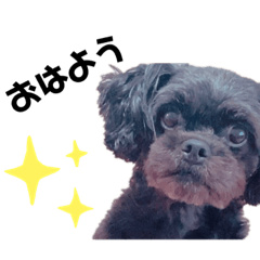 [LINEスタンプ] くうちゃんのすたんぷ！！①