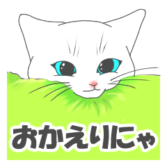 [LINEスタンプ] 猫好きとぬこ好きのためのスタンプ