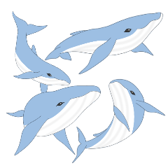 [LINEスタンプ] クジラ 日常