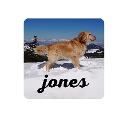 [LINEスタンプ] 横手山ジョーンズJones