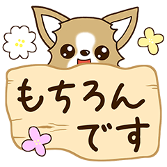 [LINEスタンプ] ずっと使える☆チワワスタンプ