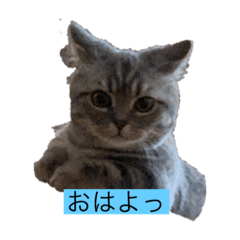 [LINEスタンプ] Zeroの毎日一緒に