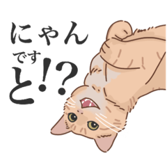 [LINEスタンプ] にゃんとみる坊