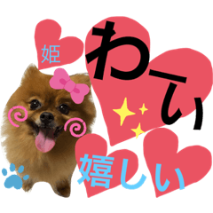 [LINEスタンプ] ポメポメちゃん仲間達❶ 2020
