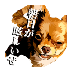 [LINEスタンプ] りりみゆ