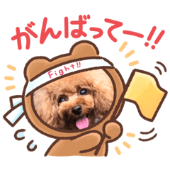 [LINEスタンプ] くるみスタンプPart6