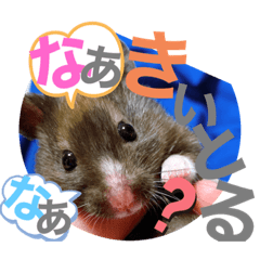 [LINEスタンプ] おみそ♡おこめ♡おとふ