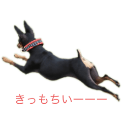 [LINEスタンプ] マメキチ1