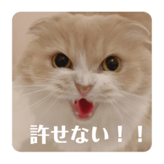 [LINEスタンプ] ぼーちゃんのスタンプ2