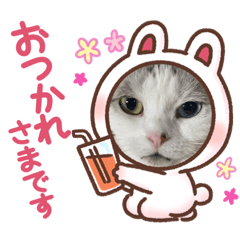 [LINEスタンプ] ミーモスタンプ4