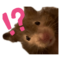[LINEスタンプ] おはぎの すたんぷ